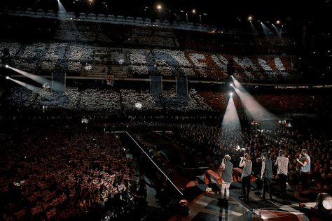 One Direction Live, 1d Concert, Stadium Wallpaper, Milan Ac, Concert Crowd, One Direction Wallpaper, Best Online Stores, One Direction Concert, One Direction Pictures