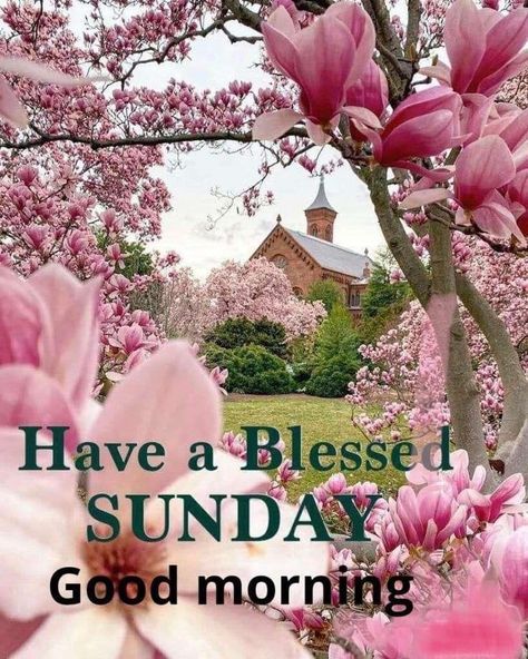 Happy Sunday Pictures, Sunday Morning Wishes, Blessed Sunday Morning, Good Morning Sun, Happy Sunday Images, Good Morning Christmas, Good Morning Sunday Images, Sunday Morning Coffee, Sunday Morning Quotes