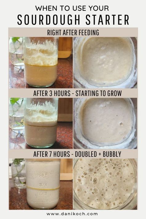 When to Use Your Sourdough Starter Simple Sourdough Bread, Best Sourdough Starter Recipe, Bread For Beginners, Simple Sourdough, Easy Sourdough Bread Recipe, Recipe Using Sourdough Starter, Sourdough Bread Starter, Dough Starter, Sourdough Starter Discard Recipe