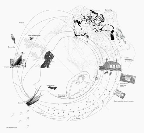 Stakeholder Analysis Architecture, Landscape Architecture Mapping, Landscape Analysis Diagram, Ecosystem Architecture, Ecosystem Drawing, Ecosystem Diagram, Landscape Section, Landscape Architecture Section, Student Architecture