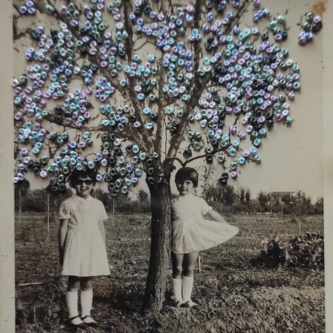 Stitching Into Photographs, Embroidery On Photos, Embroidered Photos, Family Heirloom Display, Embroidered Photography, Embroidered Photo Art, Embroidered Photographs, Altered Photography, Embroidered Paper