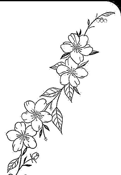 Arabian Jasmine Flower Tattoo, Jasmine Flower Tattoo, Jasmine Plant, Beautiful Flower Drawings, Flower Drawings, Fabric Painting On Clothes, Vine Tattoos, Jasmine Flower, Tattoo Cover-up