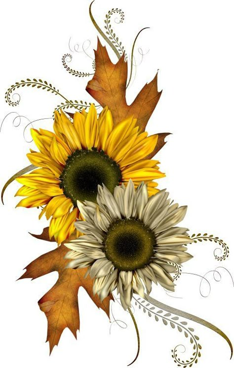 Sunflower free top fall clip art free clipart image - WikiClipArt Fall Clip Art Free, Fall Clip Art, Theme Tattoo, Fall Images, Sunflower Tattoos, Free Clipart Images, Sunflower Art, Autumn Painting, Tole Painting