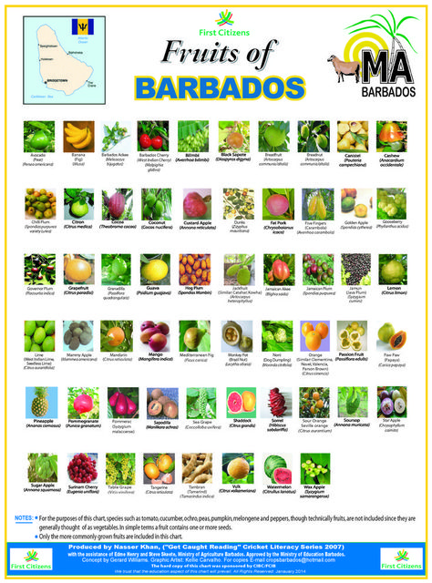 Caribbean Fruits, Barbados Recipes, Bajan Food, Bajan Recipe, Barbados Food, Weird Fruit, Carribean Food, Table Chart, World Thinking Day