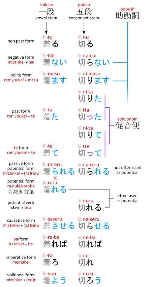 Japanese Verbs Conjugation, Japanese Verbs, Learn Japan, Language Journal, Bahasa Jepun, Materi Bahasa Jepang, Learning Languages Tips, Verb Conjugation, Japanese Language Lessons