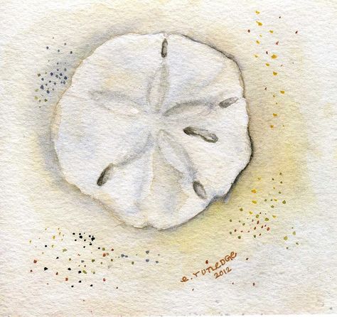 Sand Dollar Tattoo, Sand Dollar Art, Watercolor Art Face, Watercolor Flowers Tutorial, Diy Watercolor Painting, Watercolor Ocean, Sketchbook Art Journal, Painting Medium, Sea Art