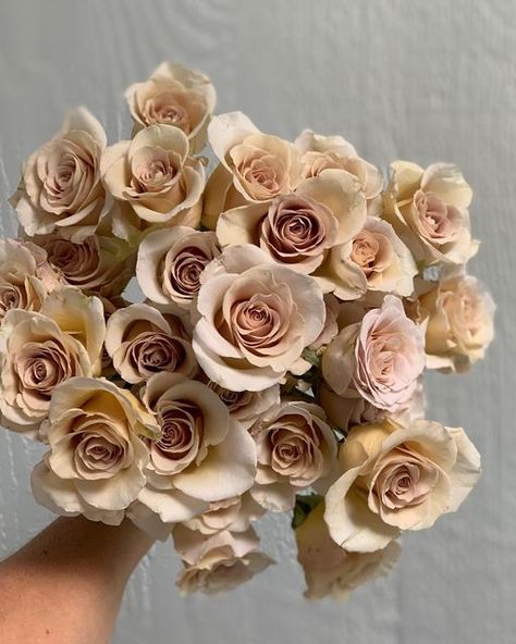 Urban Elements | Ronna Newsom on Instagram: "It’s quite possible I’ve found the perfect rose for your taupe wedding. May I introduce you to “Metallina”! . . . . ##peterkortroses #taupewedding #beigewedding #nudewedding #fleshroses #petiteroses #portlandweddingflorist #modernwedding" Neutral Flower Wedding, Neutral Colored Flowers, Taupe Wedding Florals, Beige Flower Arrangements, Toffee Roses Wedding, Moab Rose, Brown Wedding Flowers, Micro Ceremony, Taupe Roses