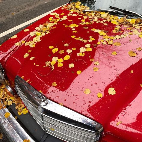 Red Autumn Aesthetic, Romanticise Autumn, Cars In Autumn, Car Autumn Photography, Rain Autumn Aesthetic, Beige Pantone, Red Autumn, Loving Him Was Red, Autumn Rose