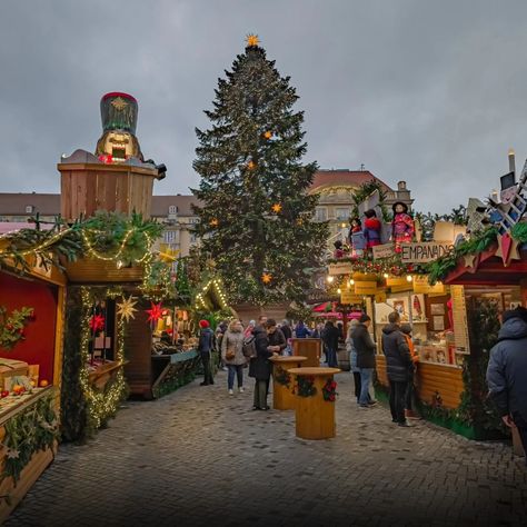 Dresden Christmas Market, Twinkling Lights, Christmas Markets, Studio Design, Twinkle Lights, Christmas Market, Dresden, Twinkle Twinkle, Winter Wonderland