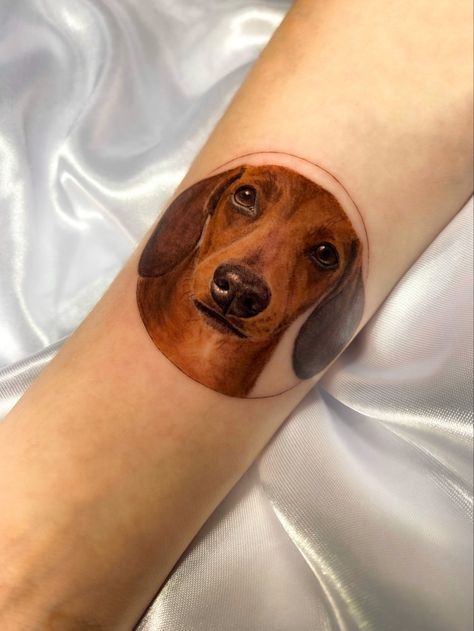 Perro salchicha tattoo retrato tatuaje perro dachshund portrait full color tattoo Dachshund Tattoos, Dachshund Tattoo, Tattoo Portrait, L Tattoo, Tattoo Color, Memorial Tattoos, Arm Tattoos, Angel Tattoo, Dachshund Lovers