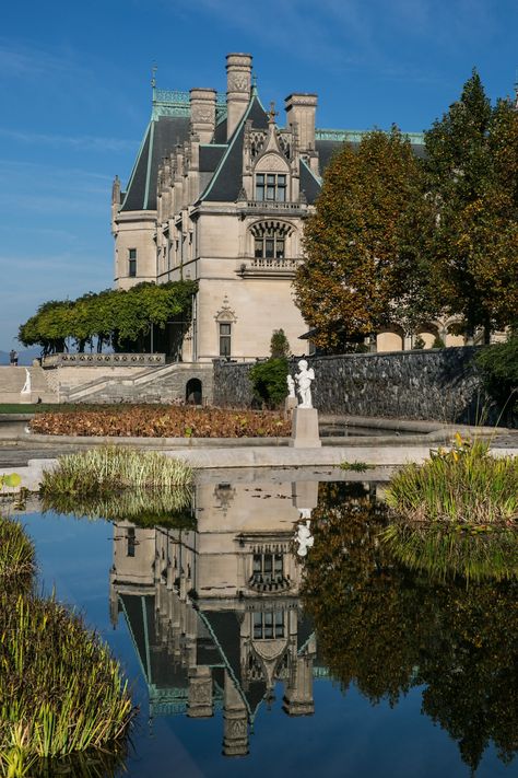 Biltmore Estate Aesthetic, Frederick Law Olmsted, Farm Estate, Biltmore House, Mansion Designs, Carolina Girl, Biltmore Estate, Gilded Age, Flipping Houses