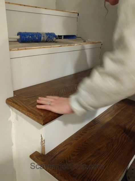 Replacing Stair Treads, Refinishing Stairs, New Stair Treads, Replace Stairs, Pine Stair Treads, Stairs Remodel, Refinish Stairs, Stairs Treads And Risers, Basement Steps