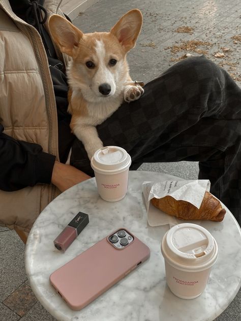 Corgi Puppy Aesthetic, Corgi Aesthetic, Corgi Owner, Cutee Animals, Corgi Puppy, Cute Corgi, Baby Puppies, Cute Little Things, Welsh Corgi