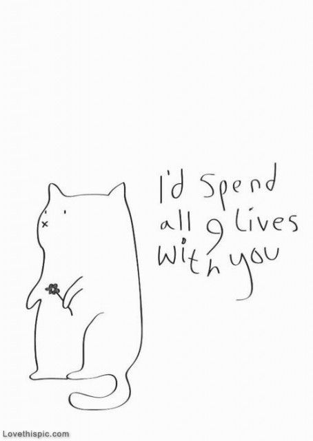 I'd spend all 9 lives with you Funny Valentines Cards, 9 Lives, Tumblr Love, I Love You Quotes, Cat Quotes, Love Yourself Quotes, Pusheen, Funny Valentine, Crazy Cat Lady