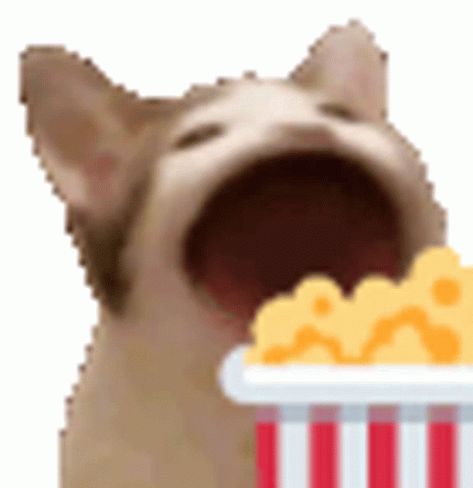 Popcorn Sticker - Popcorn - Discover & Share GIFs Gif Stickers For Discord, Eating Popcorn Reaction Pic, Discord Stickers Gif, Discord Emojis Gif, Popcorn Emoji, Popcorn Meme, Popcorn Icon, Silly Gifs, Discord Gifs