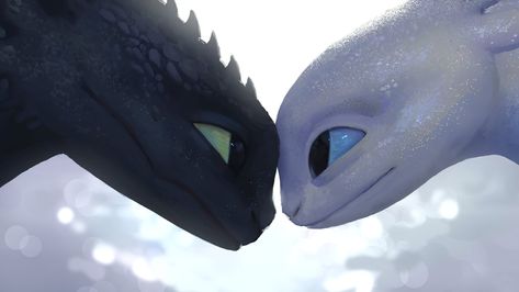 Toothless Wallpaper, Dragon Light, Toothless Dragon, Light Fury, Whatsapp Wallpaper Cute, Httyd Dragons, Dragon Trainer, Love Is Gone, Night Fury