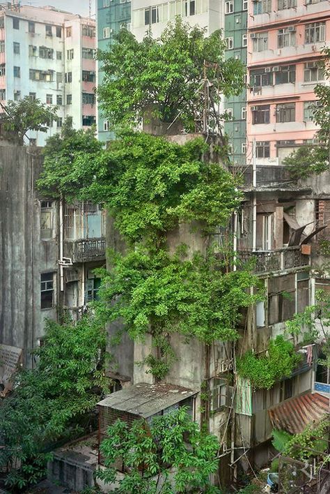 Places In Hong Kong, Environment Photography, Image Nature, Urban Nature, Urban Environment, A Level Art, Environment Design, Brutalism, Environment Concept Art