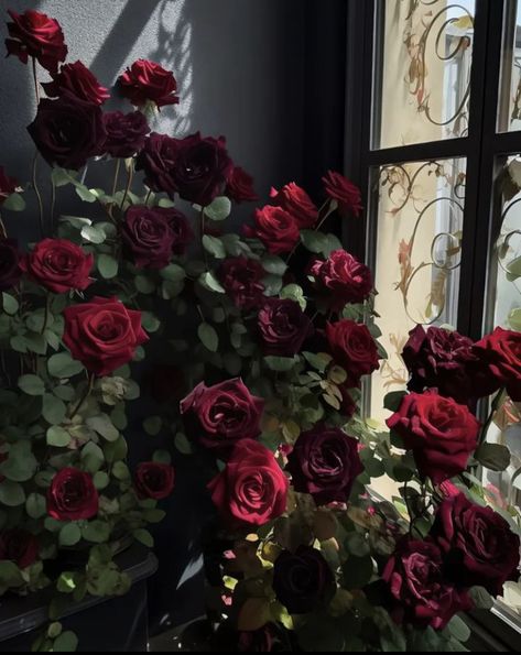 Dark Red Roses, Boquette Flowers, Rosé Aesthetic, Beautiful Bouquet Of Flowers, Dark Photography, Love Rose, Red Aesthetic, Beautiful Bouquet, Rose Petals