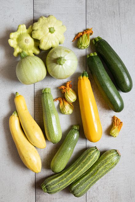 Your Guide to Summer Squash: How to Pick, Store, and Cook Squash Garden, Summer Squash Bread, How To Grow Zucchini, Squash Growing, Grow Zucchini, Zucchini And Summer Squash, Easiest Vegetables To Grow, Bread Zucchini, Pattypan Squash