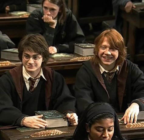 Hogwarts Dark Academia, Harry Potter Friendship, Harry And Ron, Ron And Harry, Harry Potter Ron, Harry Potter Icons, Rupert Grint, Ron And Hermione, Potter Facts