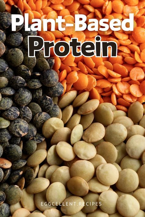 As more people embrace plant-based diets, the importance of finding high-quality protein sources is greater than ever. Protein is essential for building muscle, supporting immune health, and maintaining energy levels. #Plant-Based Protein #Plant-Based Protein recipes #Plant-Based Protein powder #Plant-Based Protein meals #Plant-Based Protein shakes #Plant-Based Protein breakfast #Plant-Based Protein snacks #Plant-Based Protein smoothies #Plant-Based Protein pancakes Plant Based Protein Sources, Protein Smoothies, Protein Meals, High Quality Protein, Building Muscle, Protein Recipes, Protein Pancakes, Protein Breakfast, Plant Protein