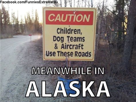 Image result for alaska memes | Alaska | Pinterest | Alaska Funny Road Signs, North To Alaska, Alaska The Last Frontier, Alaska Adventures, King Salmon, Alaska Travel, Living In Alaska, Necklace Diamond, Road Signs