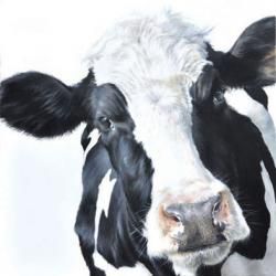 Cows | Vicky Palmer Black And White Cow Pictures, Drawing Of Cow, Bois Intarsia, Cow Sketch, Cow Portrait, Cow Drawing, Primitive Painting, Black And White Cow, Holstein Cows