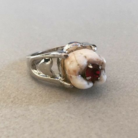 Tooth Ring, Horror Vintage, Human Teeth, Mia 3, Dope Jewelry, Funky Jewelry, Queen Of Hearts, Dream Jewelry, Jewelry Inspo