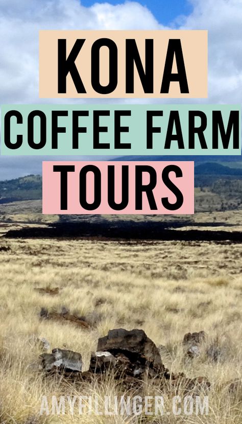 The best Kona coffee farm tours and other unique Big Island tours. These coffee tours in Kona are some of the best things to do on the Big Island! #bigisland #kona #bigislandvacation #hawaiitraveltips #hawaiitravelagent #hawaii #konacoffee Best Hawaiian Island, Big Island Travel, Hawaiian Coffee, Hawaii Travel Guide, Hawaii Hotels, Kona Coffee, Kona Hawaii, Coffee Farm, Hawaii Honeymoon