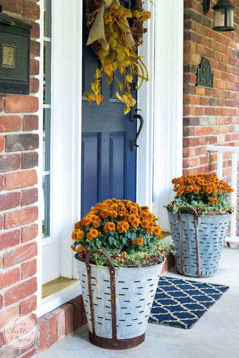 A sophisticated take on the rustic look of galvanized metal, these olive buckets filled with mums decorate Ann of On Sutton Place's front porch. A great example of a fresh spin on an old favorite, in this case, richly-colored fall mums. || @adrake606 Mum Planters, Fall Front Door Decor, Olive Bucket, Best Front Doors, Fall Mums, Deco Champetre, Rustic Planters, Fall Planters, Fall Front Porch Decor