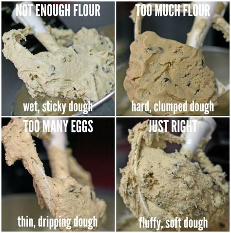 Kitchen Aid Recipes, Mixer Recipes, Baking 101, Cookie Hacks, Best Chocolate Chip, Perfect Chocolate Chip Cookies, Baking Science, Cookies Baking, Baking Recipe