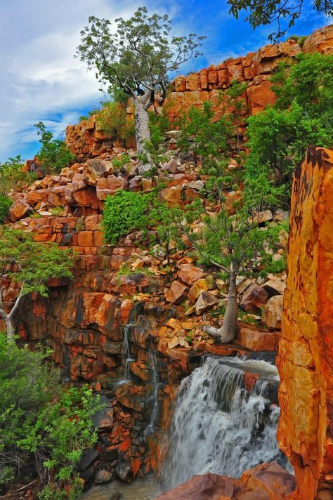 Kimberly Kimberly Australia, Australia Landscape, Ocean Surf, Surf Camp, Camping Locations, Wall Papers, Wide World, Beautiful Tree, Beautiful Scenery