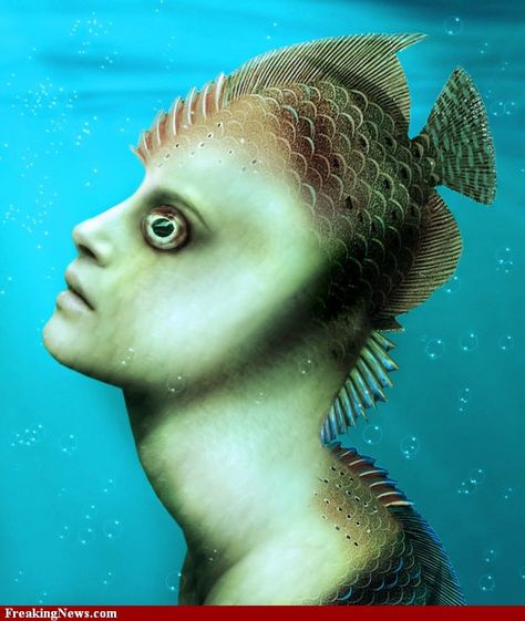 Fish Human, Maggie Taylor, Human Hybrid, Fish People, Fish Pictures, Head Shots, Human Art, Future Design, Tech Design