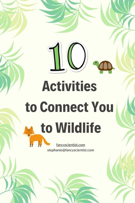 Wildlife Activities For Kids, Wildlife Activities, Conservation Activities, Camp Activities, Nature Education, Wildlife Day, Wildlife Biologist, Save Wildlife, Study Ideas