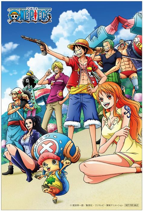 Luffy's Crew, Pirate Crew, One Piece Series, One Piece Crew, One Piece Ace, One Piece Nami, Nami One Piece, Anime Poster, The Pirates