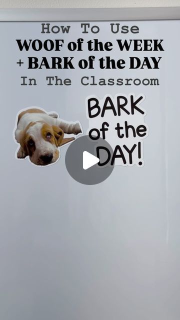 Reimagines | Add a personal touch to the classroom with custom Woof of the Week and Bark of the Day whiteboard clings! Your students will love seeing... | Instagram Woof Of The Week Classroom, Bark Of The Day Classroom, Dog Gravy, Whiteboard Ideas, Classroom Whiteboard, To My Dog, Bell Ringers, Teacher Organization, Classroom Setup