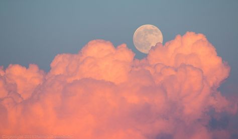 https://flic.kr/p/oiAMN9 | Super Moon and Clouds | July 11,12, 2014 Super Moon!  Looked out just in time with my camera handy! Samsung Wallpaper Android, Youtube Background, Wallpapers Ipad, نباتات منزلية, Wallpapers Android, Desktop Wallpaper Art, Cute Desktop Wallpaper, Angel Aesthetic, Wallpaper Laptop