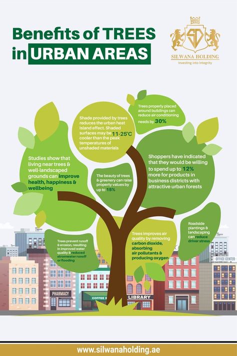 benefits of trees in urban areas Benefits Of Trees, Landscape Architecture Diagram, Tree Diagram, Urban Tree, Urban Forest, Infographic Poster, Infographic Design Template, Creative Advertising Design, Graphics Layout