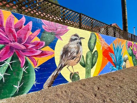 Rainbow Fence, Flag Mural, Arizona Decor, Arizona Flag, Garden Mural, Ceiling Murals, School Murals, Colorful Murals, Graffiti Murals