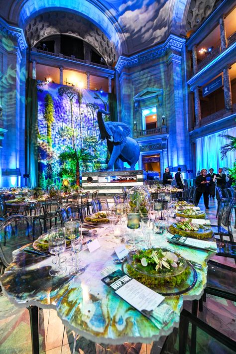 Smithsonian National Museum of Natural History New Fossil Hall Donor Dinner and Cocktail Party | BizBash Museum Party, Framing Doorway, National Museum Of Natural History, Night At The Museum, Museum Of Natural History, Wood Photo, Walk On The Wild Side, Dinner Themes, Steel Art