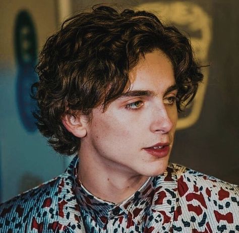 gabby✨fanpage on Instagram: “serious timo 🧐<3 can we talk abt how the filter makes him look like he has lipstick on the first pic, i l1KE !” The End Of An Era, Timmy T, End Of An Era, The Perfect Guy, Timothee Chalamet, Zayn Malik, Liam Payne, Niall Horan, Louis Tomlinson