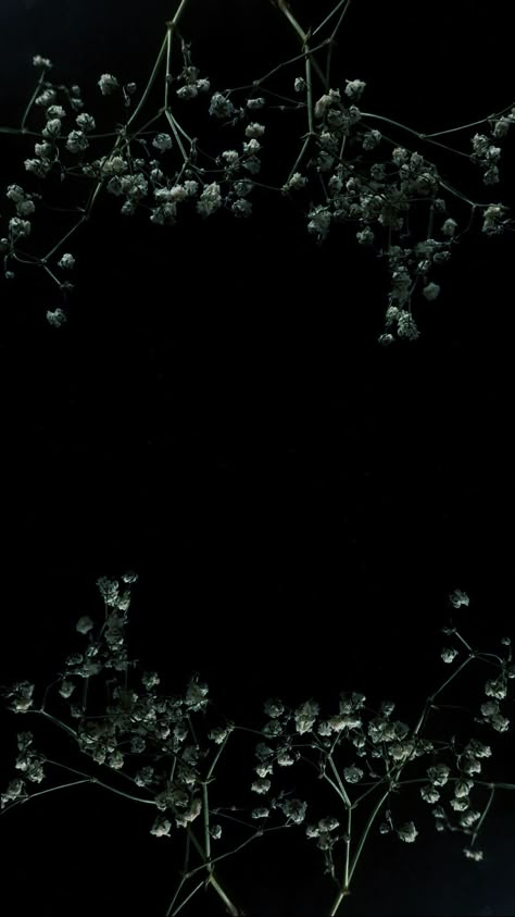 Dark Botanical Wallpaper Phone, Dark Background Aesthetic For Editing, Goth Aesthetic Background, Dark Background For Editing, Dark Romantic Aesthetic Wallpaper, Botanical Goth, Cottage Core Background, Edited Wallpaper, Goth Background