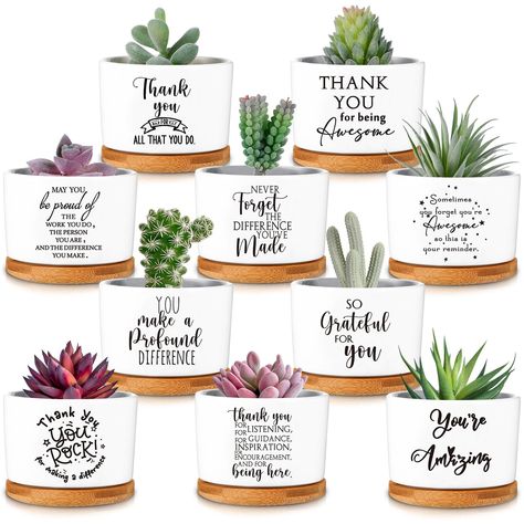 Thank You Plant, Co Teacher Gifts, Office Gift Ideas For Coworkers, Dsp Week, Appreciation Gifts For Employees, Bulk Gifts For Coworkers, Bulk Teacher Gifts, Gifts For Staff, Gift Ideas For Employees