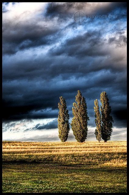 Cloudy Sky, Dark Skies, Beautiful Sky, Pics Art, Nature Wallpaper, Landscape Photos, Beautiful Photography, Amazing Nature, 그림 그리기