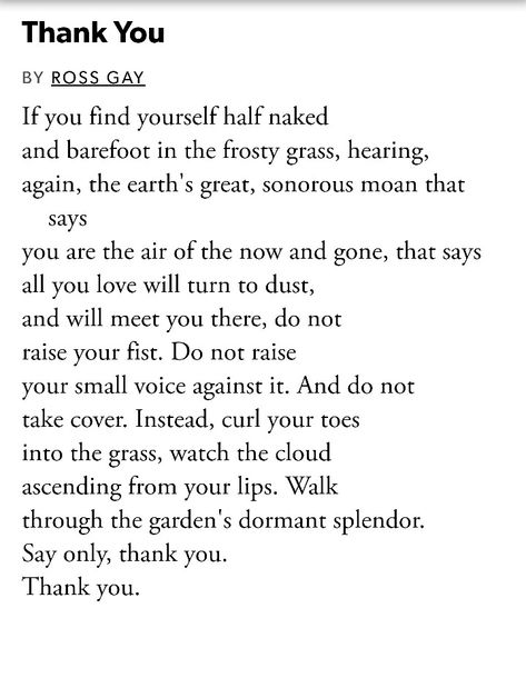 "Thank you" by Ross Gay Ross Gay Poetry, Mlm Poetry, Gay Poetry, Gay Quotes, Literature Quotes, Poetry Words, Writing Poetry, Poem Quotes, A Poem