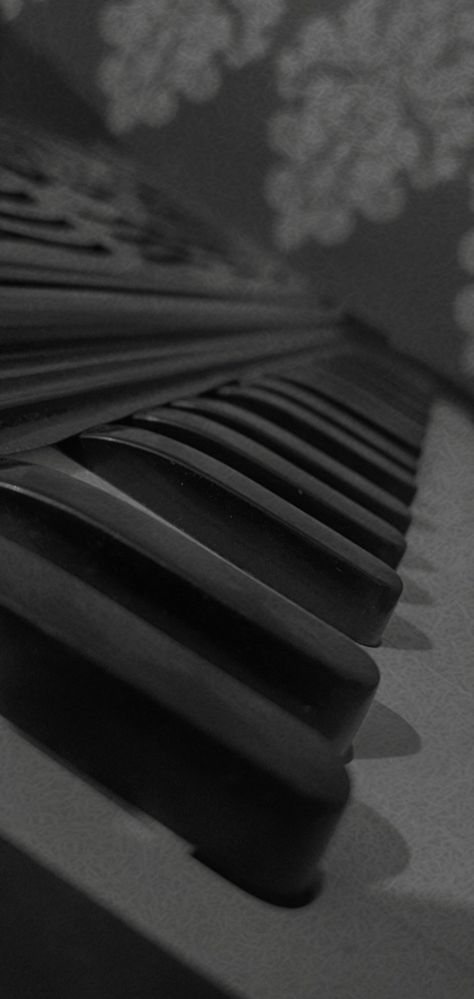 Harmonium Photography, Feather Art Drawing, Snap Streaks, Snap Streak, Cool Instagram, Feather Art, Music Aesthetic, Year Plan, Photography Nature