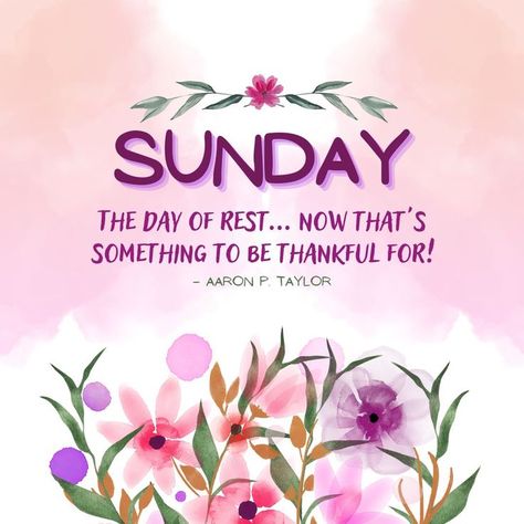 "Sunday. The day of rest... now that's something to be thankful for!" - Aaron P. Taylor Happy Sunday Quotes Happy Sunday Quotes Positivity, Sunday Quotes Positive, Happy Sunday Quotes Positivity, Happy And Positive Quotes, Quotes About Sunday, Pink And Purple Aesthetic, Happy Sunday Flowers, Thankful Sunday, Happy Sunday Messages