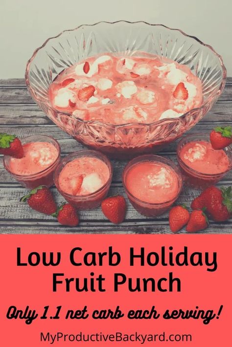 Sugar Free Christmas Punch, Keto Punch Non Alcoholic, Low Sugar Christmas Punch, Low Sugar Punch Recipes, Low Sugar Punch, Healthy Fruit Punch Recipe, Sugar Free Punch Recipes, Holiday Punch With Sherbert, Christmas Keto