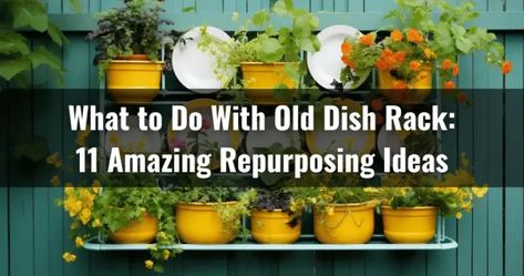 What To Do With Old Dish Racks: 11 Amazing Repurposing Ideas Dishwasher Rack Repurpose, Bamboo Dishes, Repurposing Ideas, Floating Bookshelf, Dish Drainers, Dish Rack, Metal Rack, Plate Racks, Dish Rack Drying