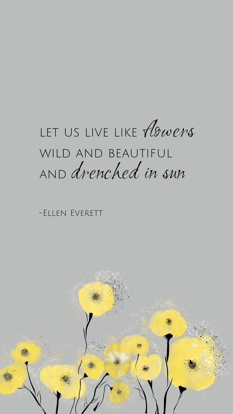 Orange Flower Quotes, Ellen Everett, Let Us Live Like Flowers, Flower Film, Nature Therapy, Sun Quotes, Flowers Wild, Simple Quotes, Hello Lovely